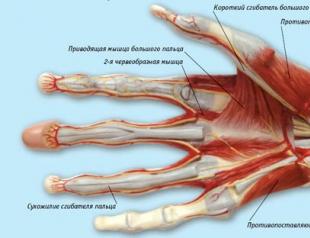 Як і чим лікувати оніміння пальців та кисті правої та лівої руки?
