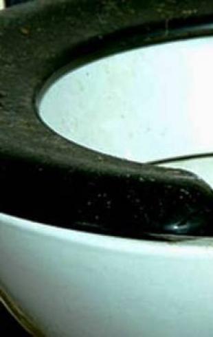 In der Toilette ist ein schielendes Geräusch zu hören – was tun und wie man es vermeidet? Wie kann man schielen und den Toilettendeckel anheben?