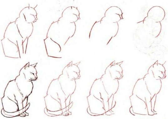 Nacrtati slatke životinje kako Kako crtati