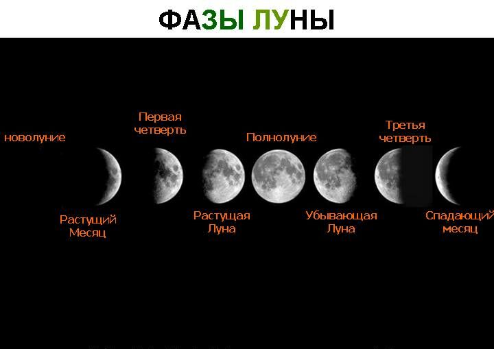 Місячний календар городника для білорусі. Застосування місячного календаря при посадці рослин