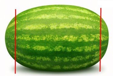 Drei verschiedene Möglichkeiten, um Wassermelone zu schneiden. Wie man Wassermelonenfachleute schneidet. Wie man Wassermelone in verschiedenen Ländern schneidet