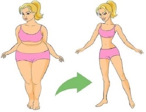 Як приймати цикорій для схуднення
