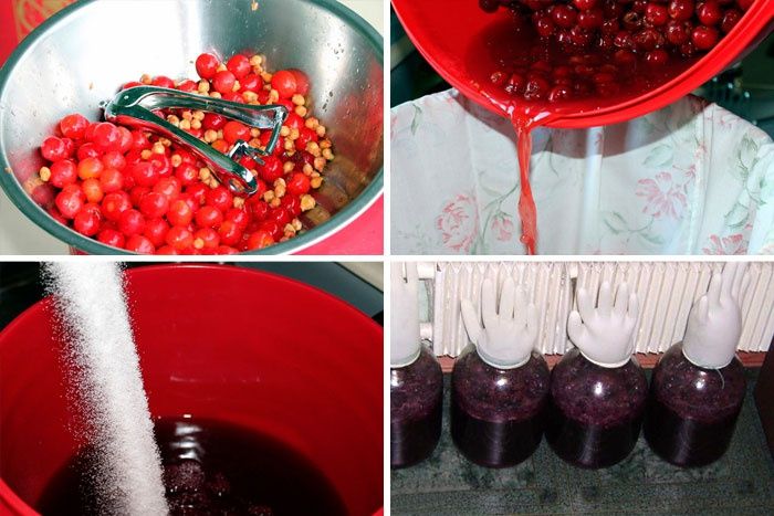 Kako napraviti vino iz Cherry-a. Pričvršćeno vino iz trešnje. Stolno vino iz soka od trešnje